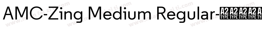 AMC-Zing Medium Regular字体转换